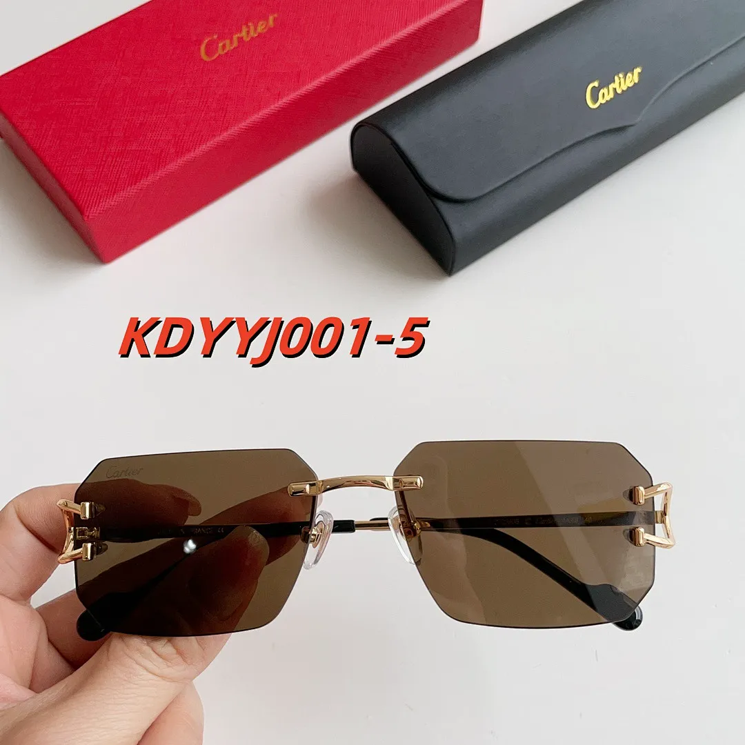 Cartier KDYYJ001 תמונה 6