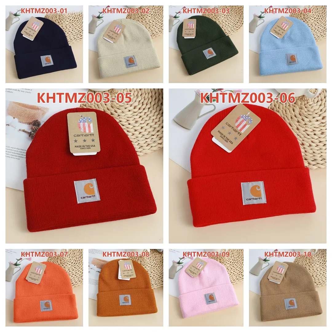 Carhartt KHTMZ003 תמונה 8