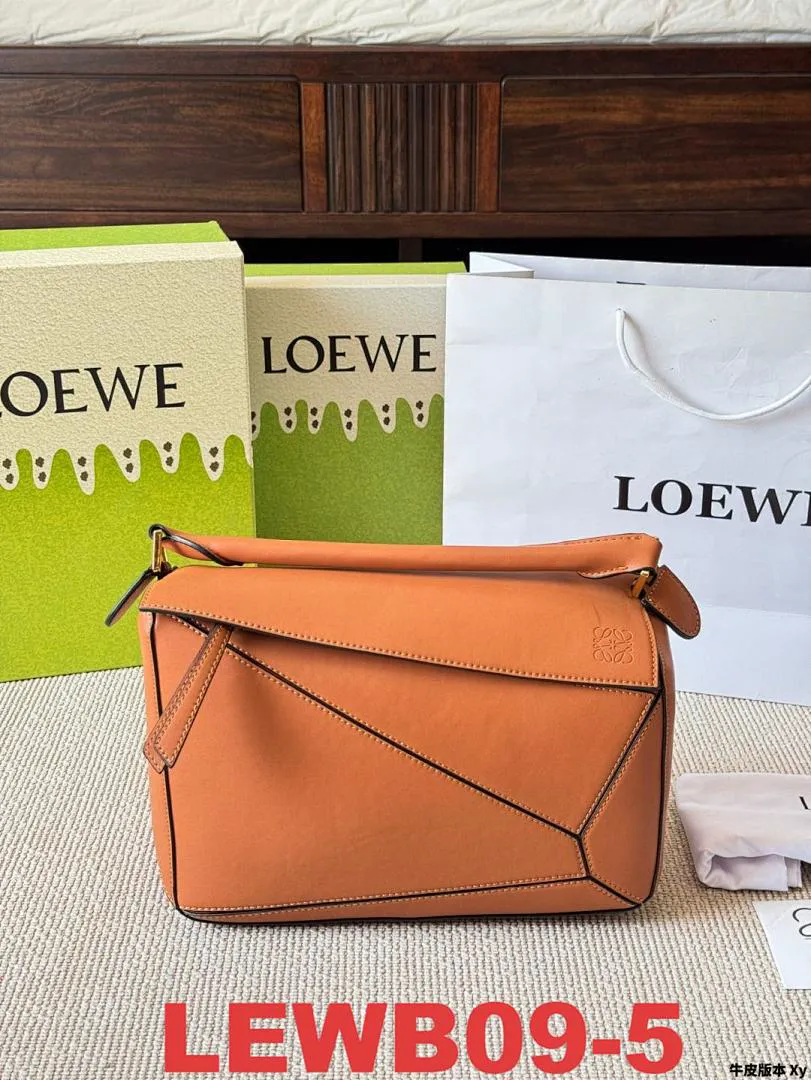 Loewe LEWB09 תמונה 11