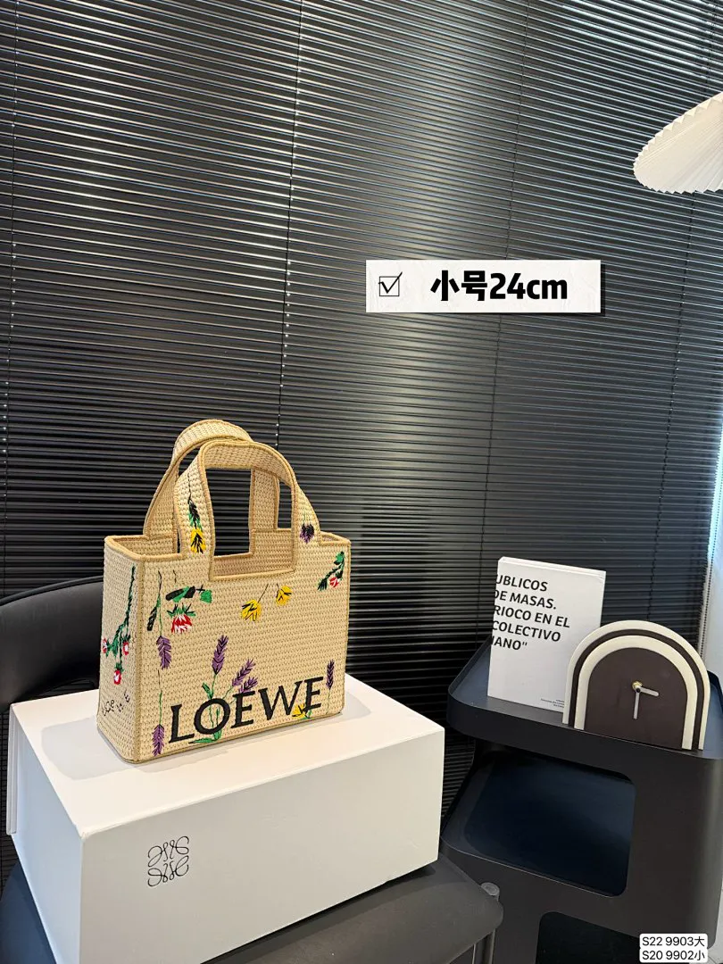 Loewe LEWB17 תמונה 12