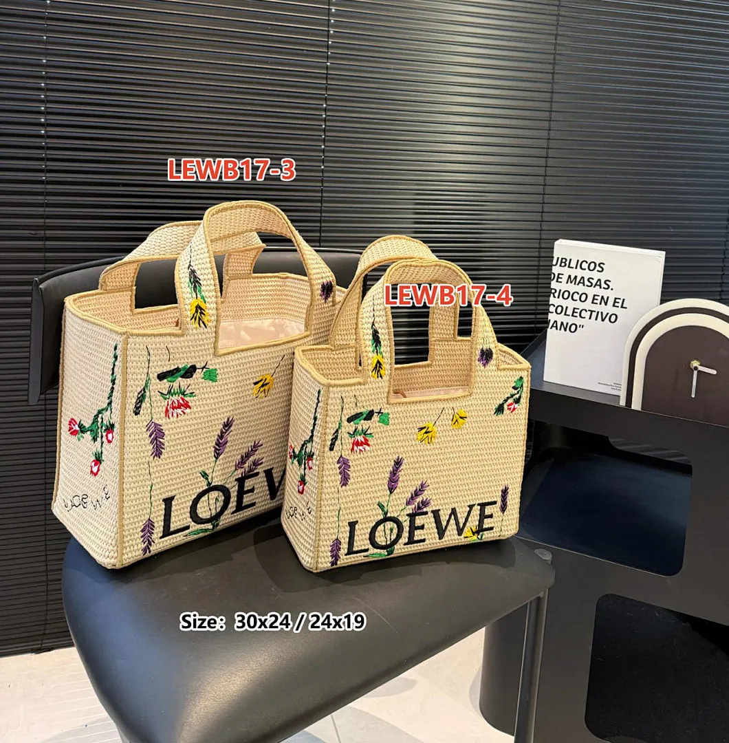 Loewe LEWB17 תמונה 20