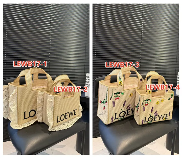 Loewe LEWB17