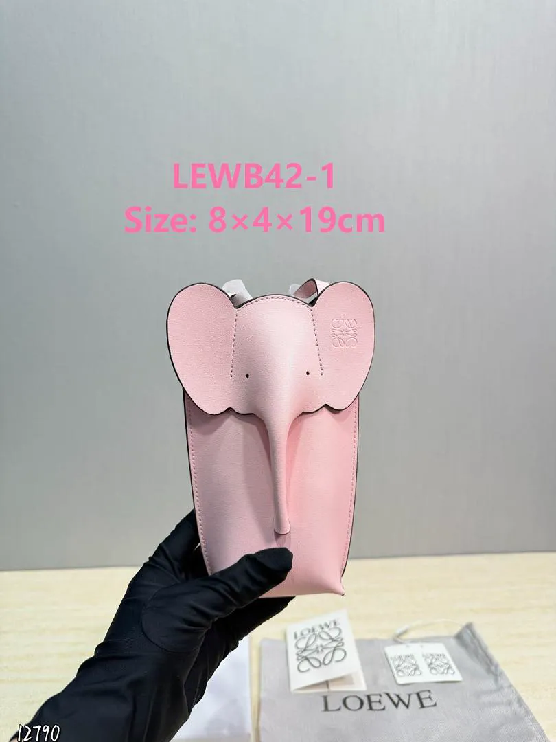 Loewe LEWB42 תמונה 10