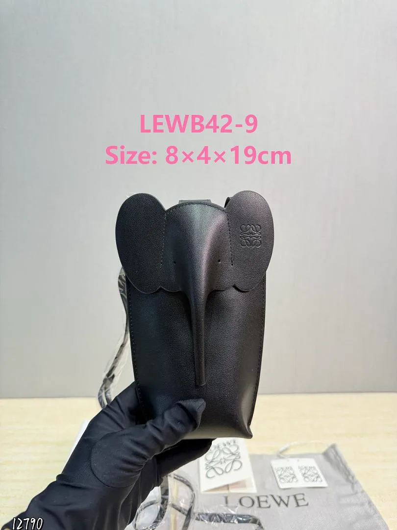 Loewe LEWB42 תמונה 2