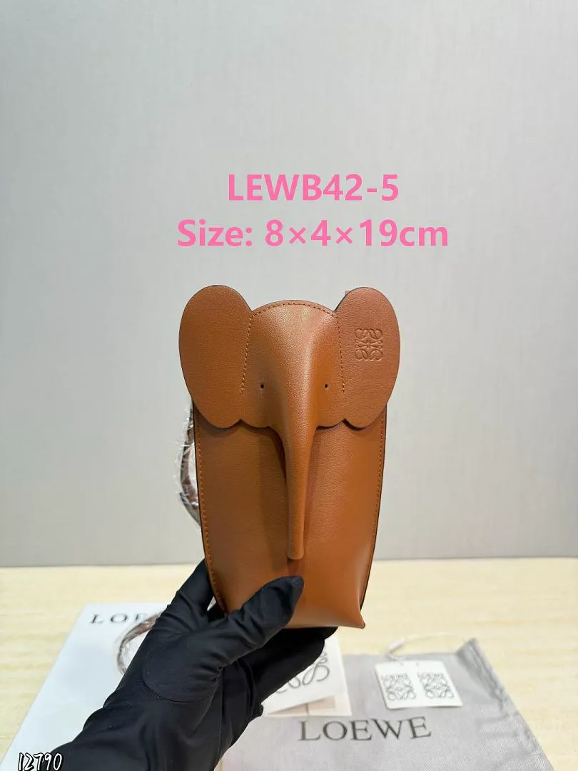 Loewe LEWB42 תמונה 6