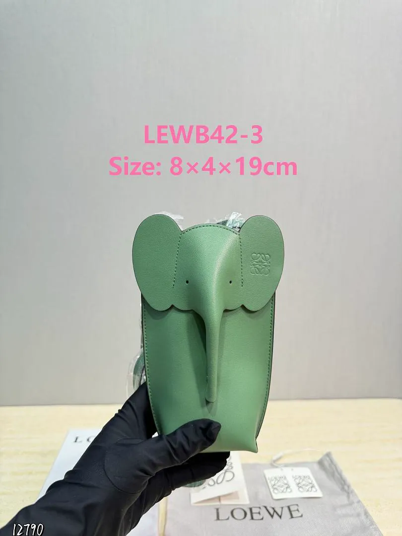 Loewe LEWB42 תמונה 8