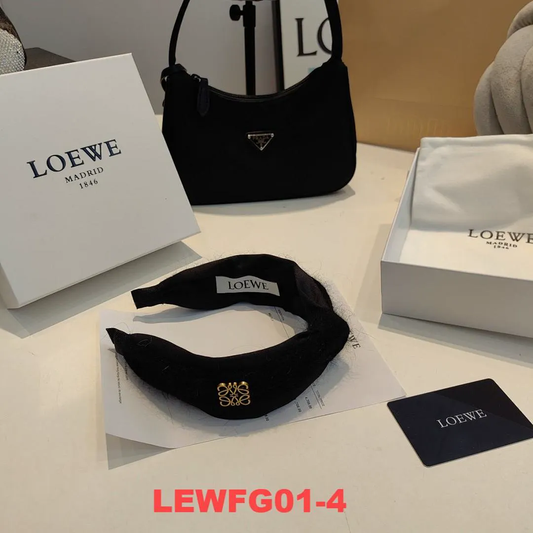 Loewe LEWFG01 תמונה 10