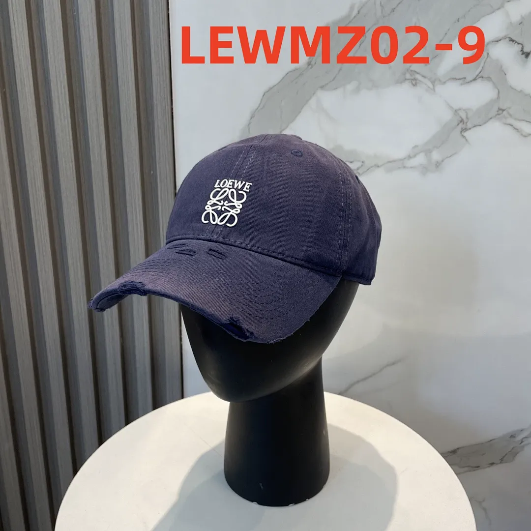 Loewe LEWMZ02 תמונה 10