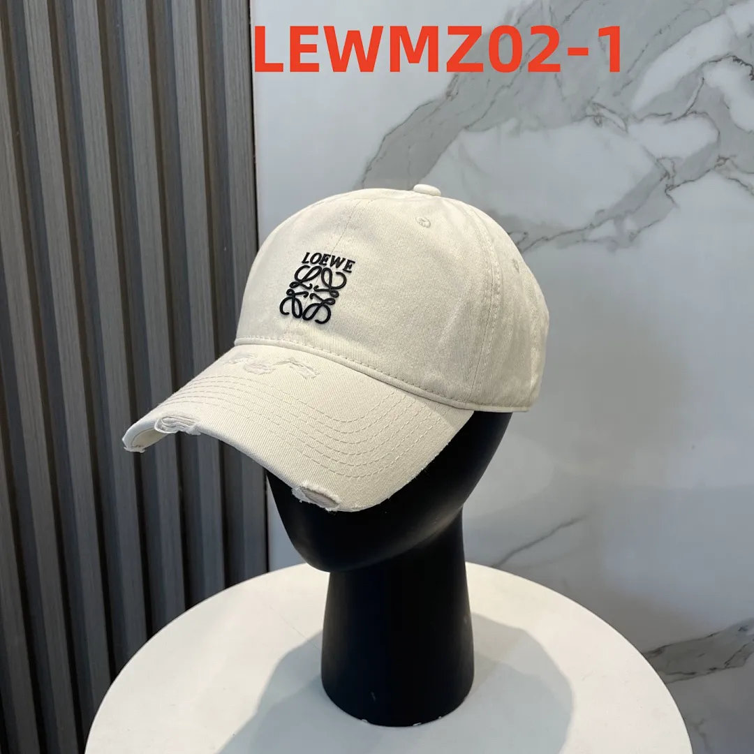Loewe LEWMZ02 תמונה 2
