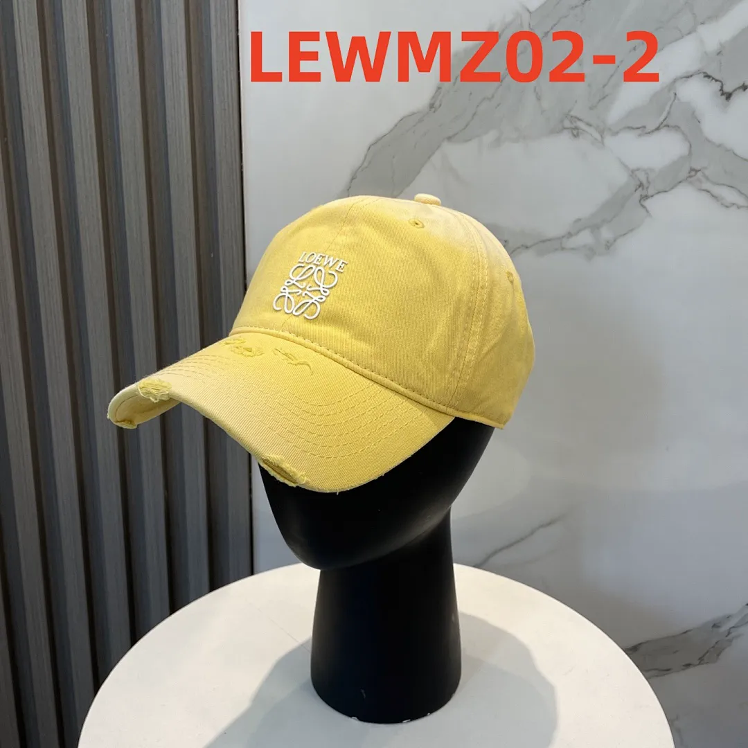 Loewe LEWMZ02 תמונה 3