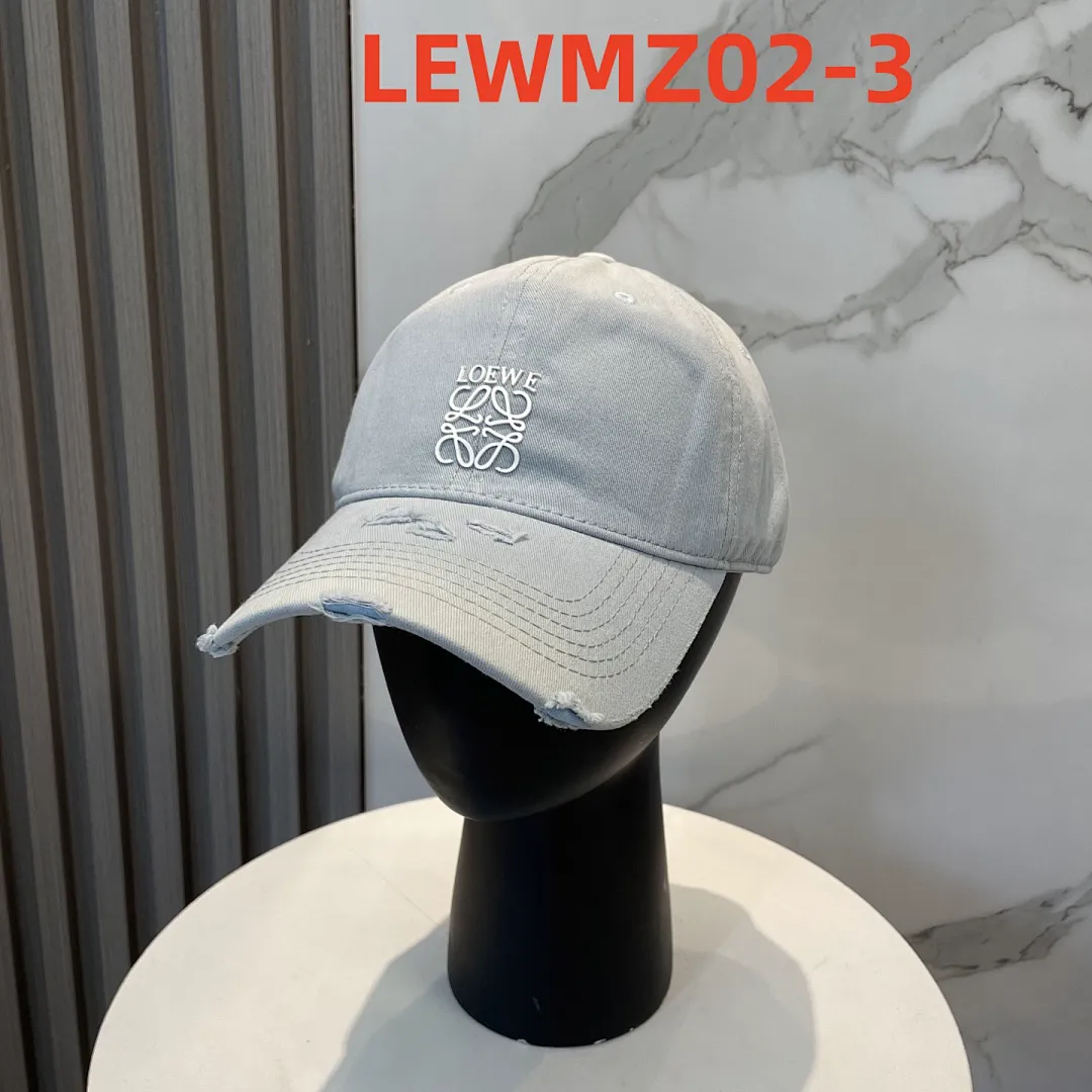Loewe LEWMZ02 תמונה 4