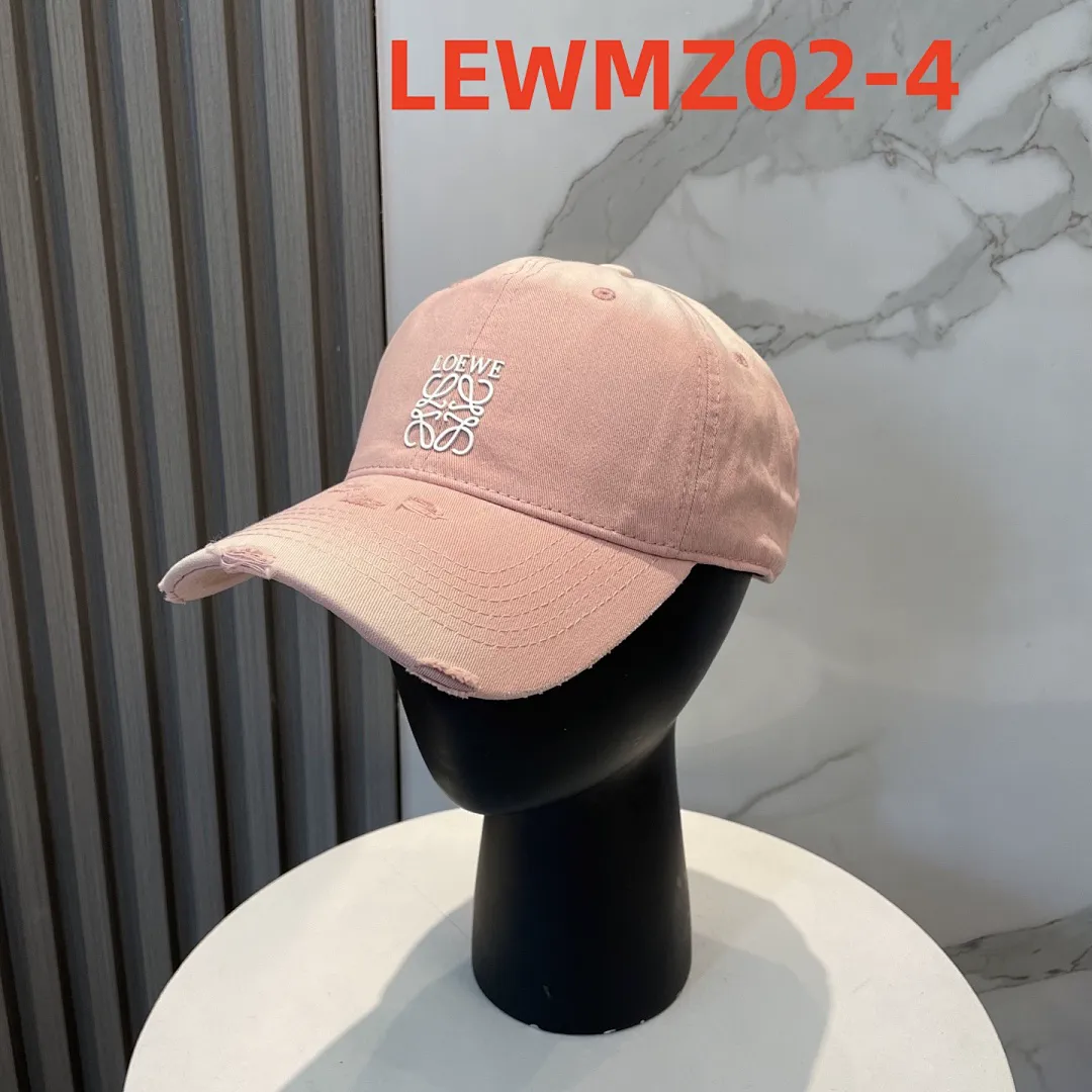 Loewe LEWMZ02 תמונה 5