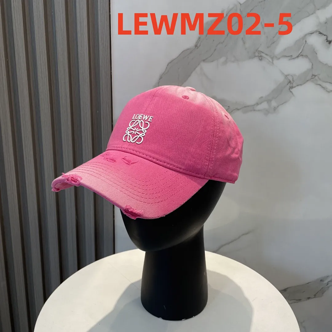 Loewe LEWMZ02 תמונה 6