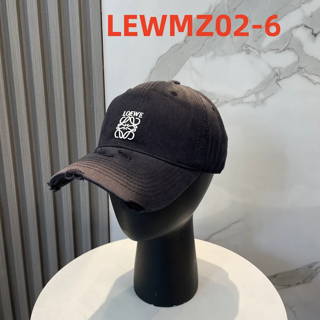 Loewe LEWMZ02 תמונה 7