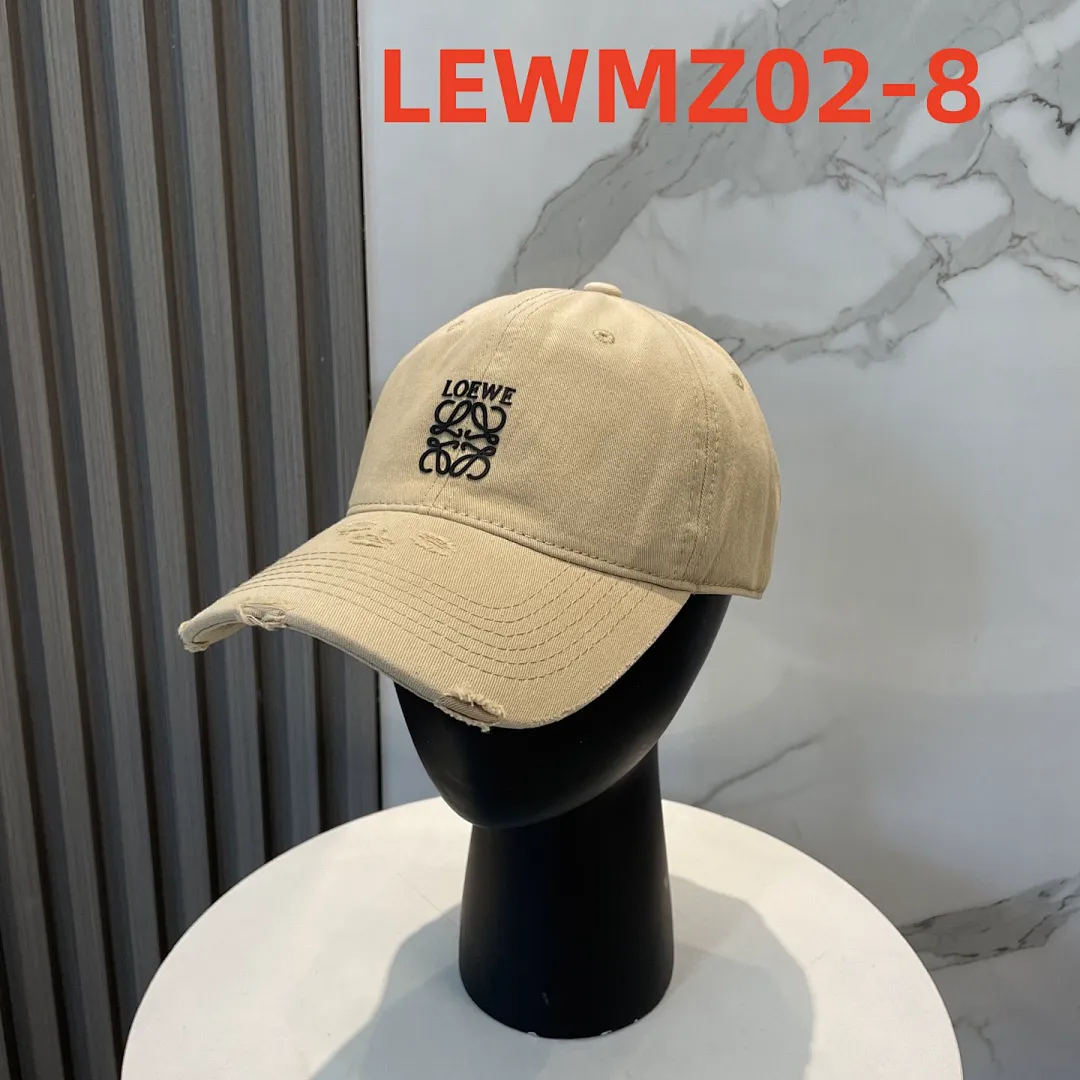 Loewe LEWMZ02 תמונה 9
