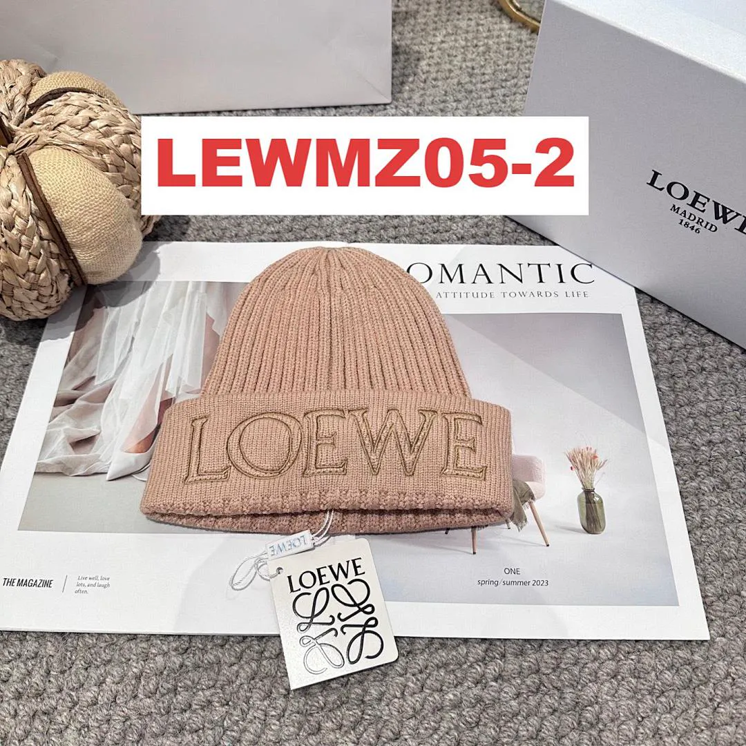 Loewe LEWMZ05 תמונה 10