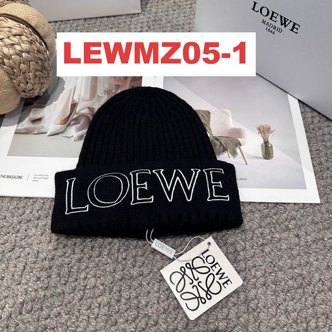 Loewe LEWMZ05 תמונה 9