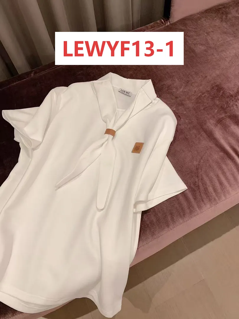 Loewe LEWYF13 תמונה 2