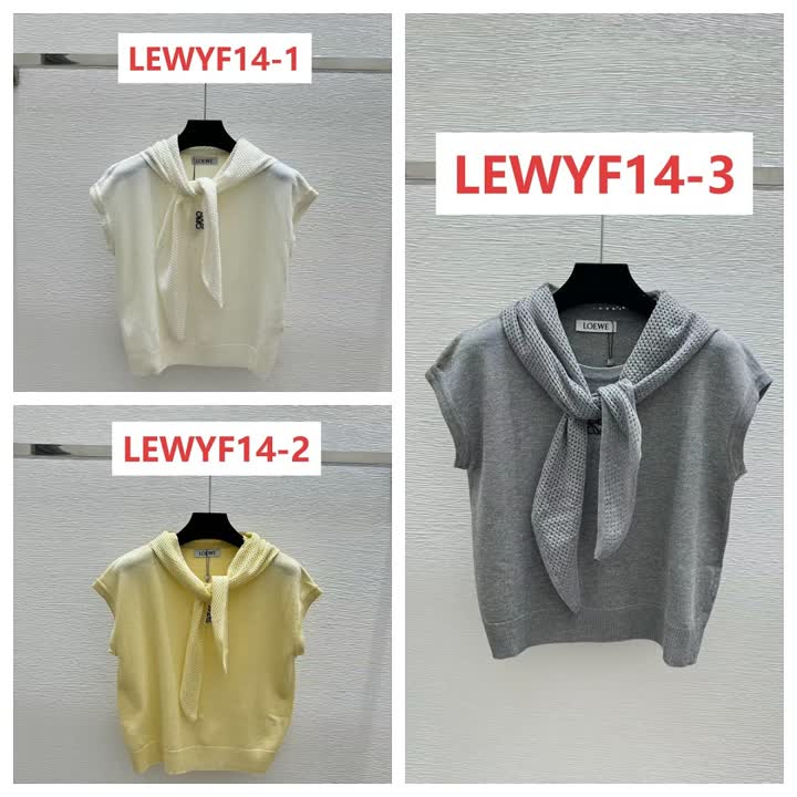 Loewe LEWYF14 תמונה 2