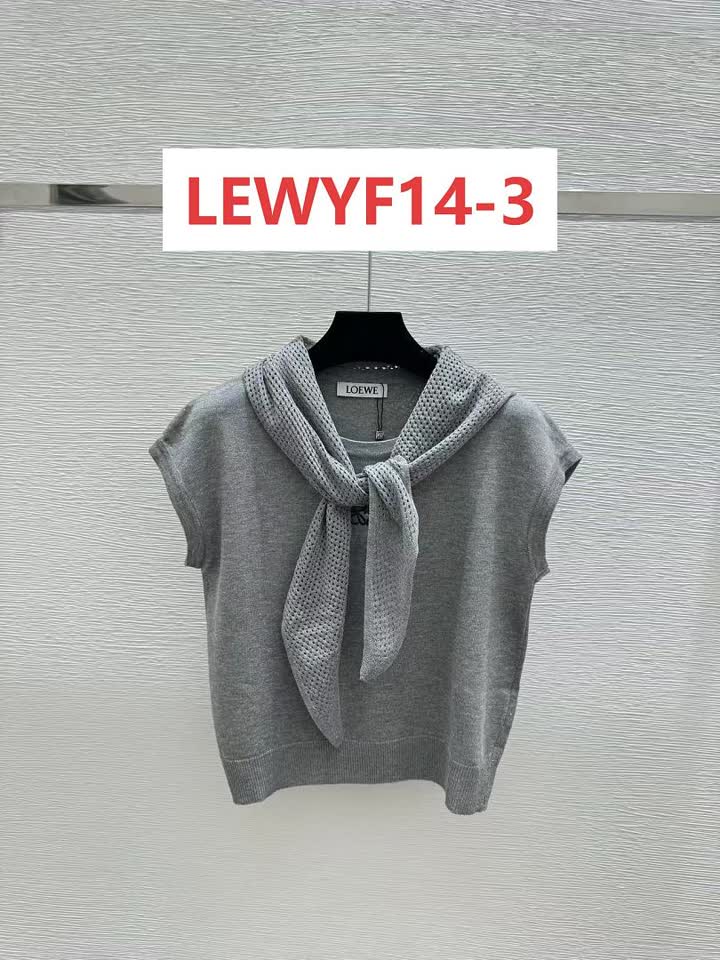 Loewe LEWYF14 תמונה 5