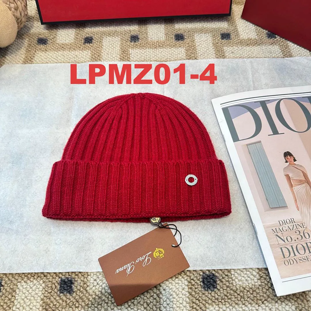 Loro Piana LPMZ01 תמונה 12
