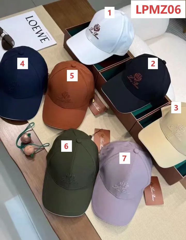 Loro Piana LPMZ06