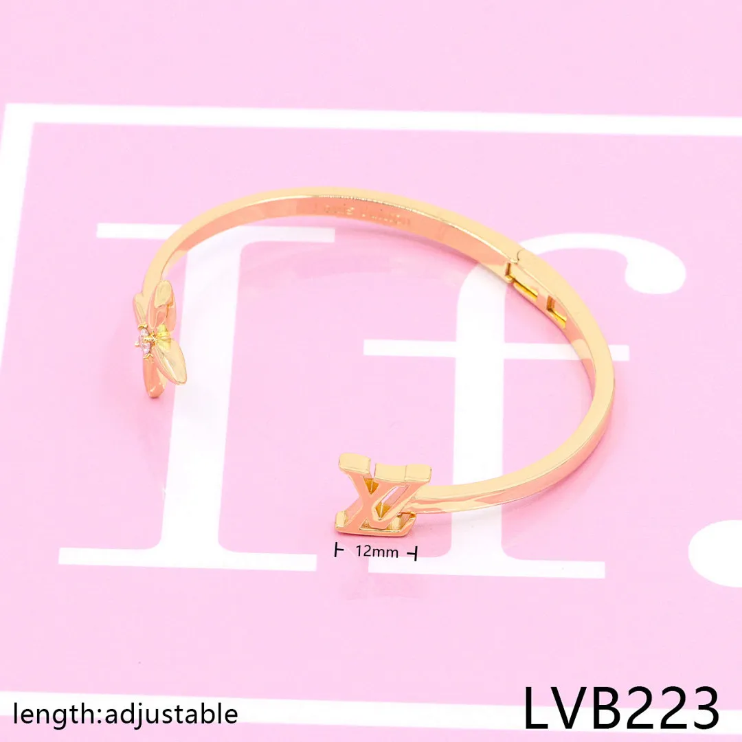 LV LVB19 תמונה 15