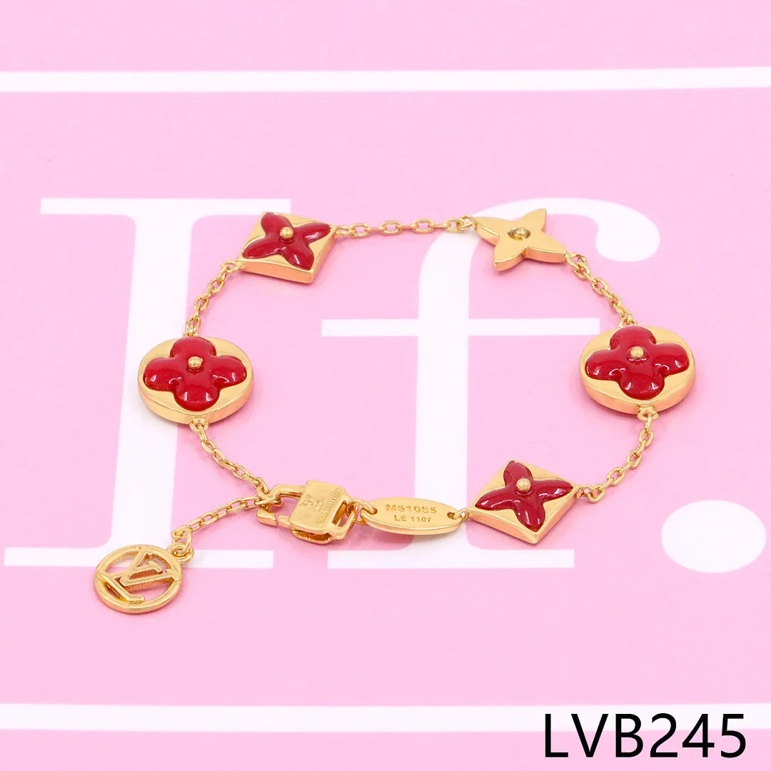 LV LVB21 תמונה 12