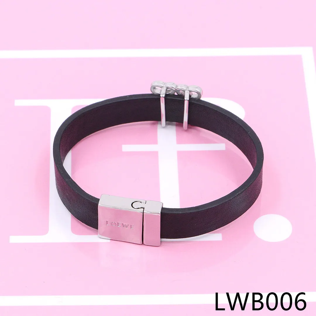 Loewe LWB1 תמונה 13