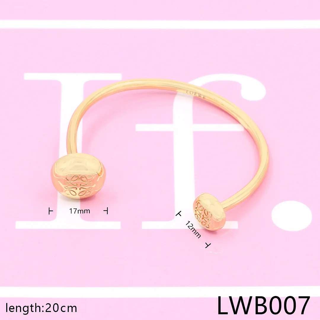 Loewe LWB1 תמונה 14