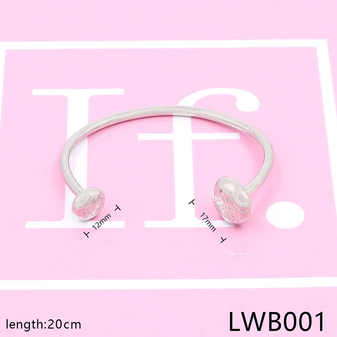 Loewe LWB1 תמונה 2