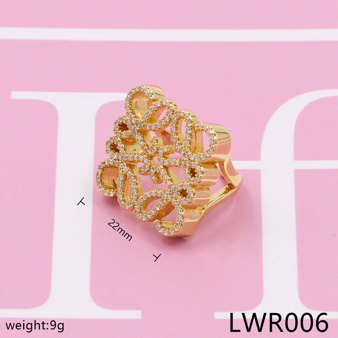Loewe LWR1 תמונה 13