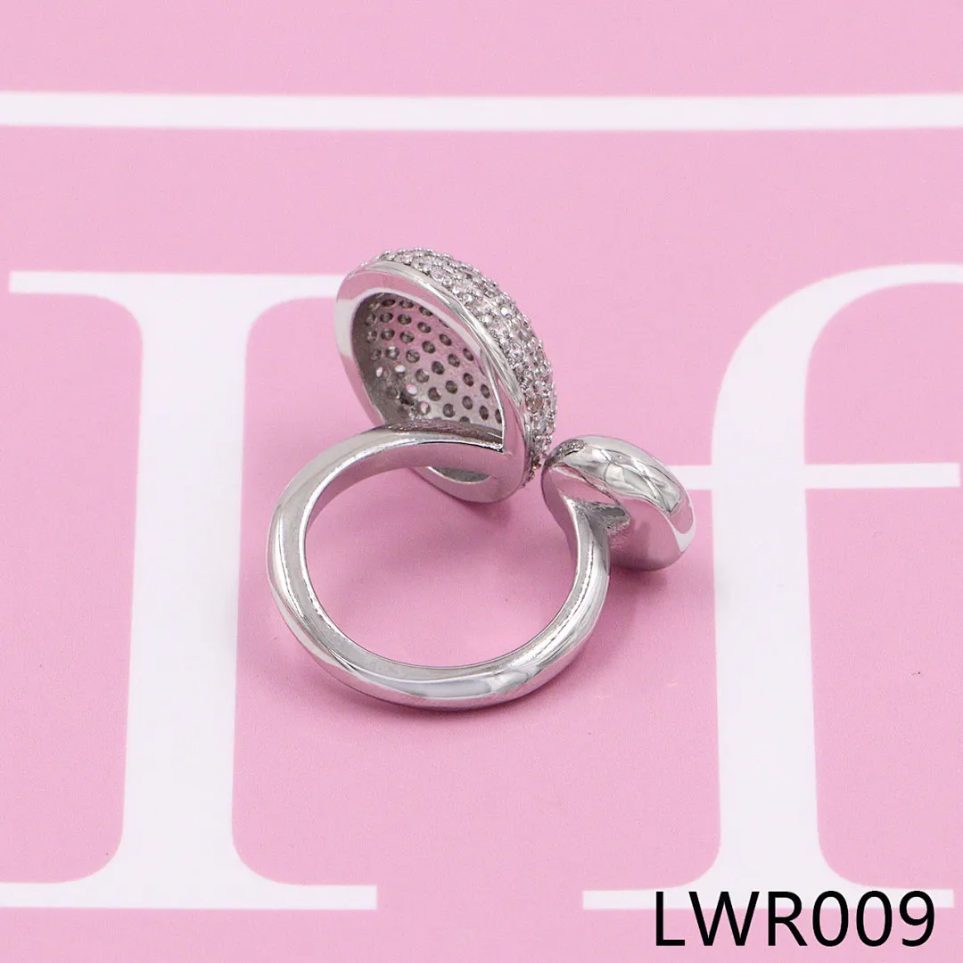 Loewe LWR1 תמונה 20