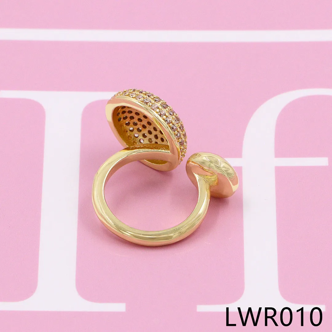 Loewe LWR1 תמונה 21