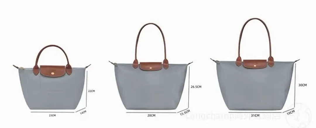 Longchamp LXBB003 תמונה 2