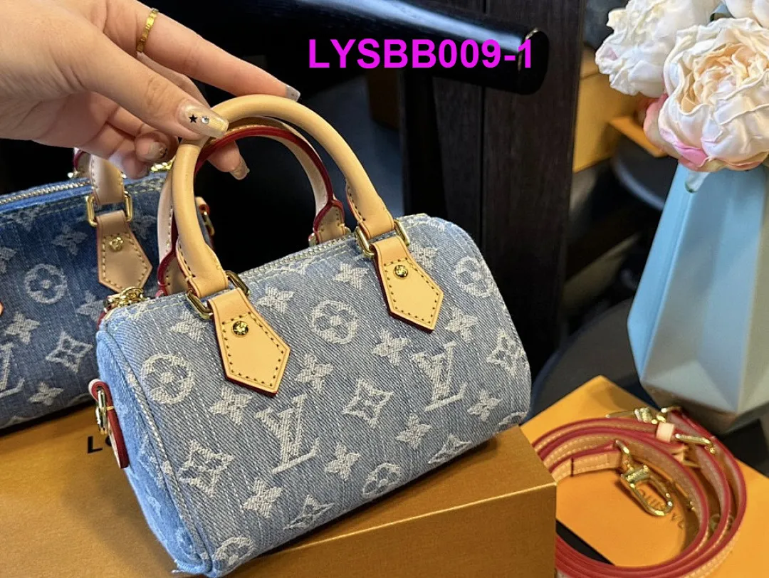 LV LYSBB009 תמונה 2