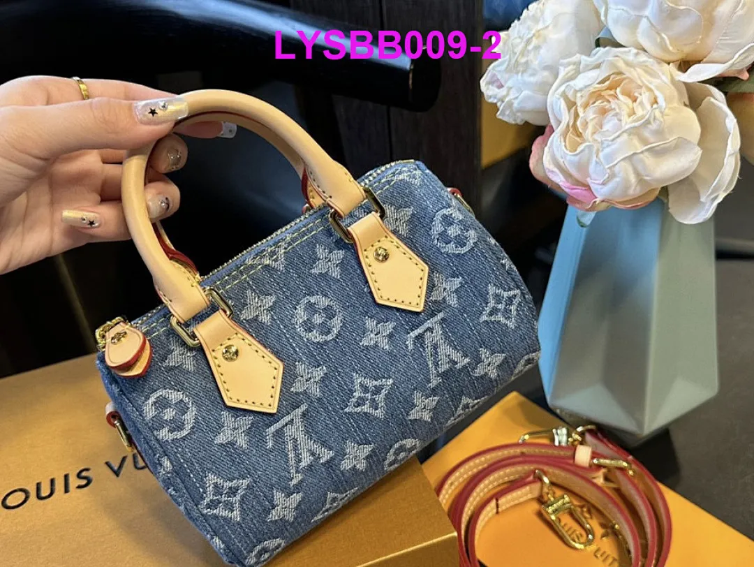 LV LYSBB009 תמונה 3
