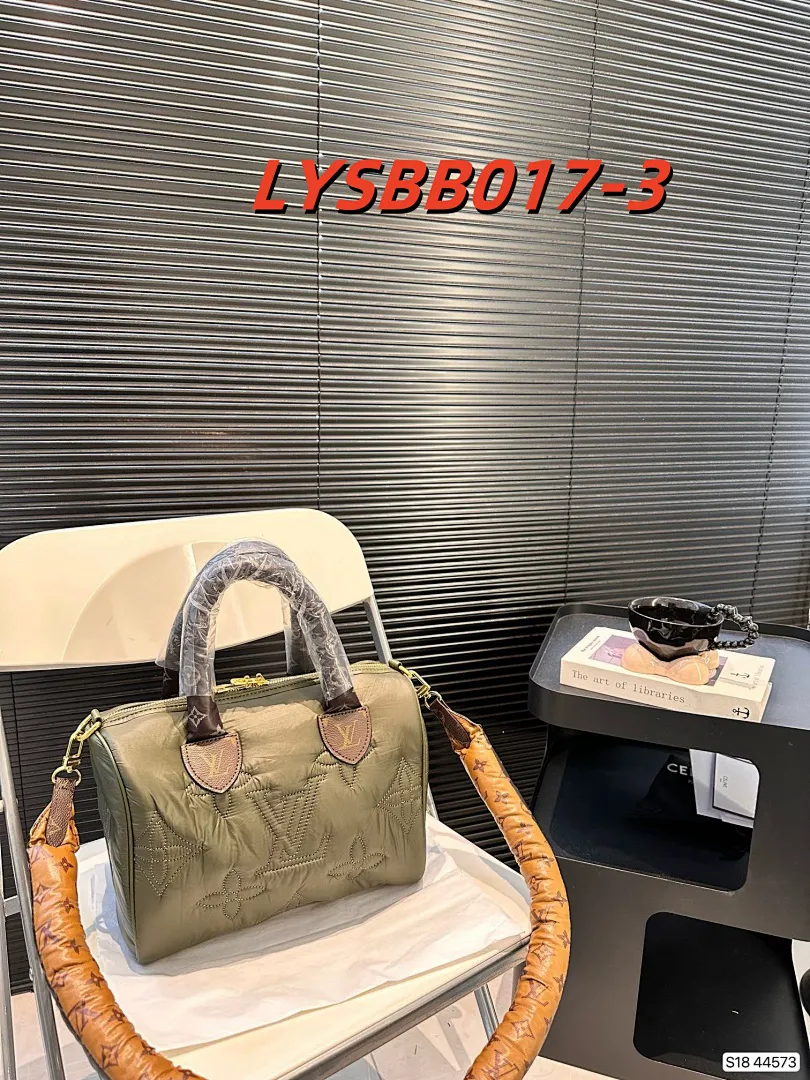 LV LYSBB017 תמונה 4