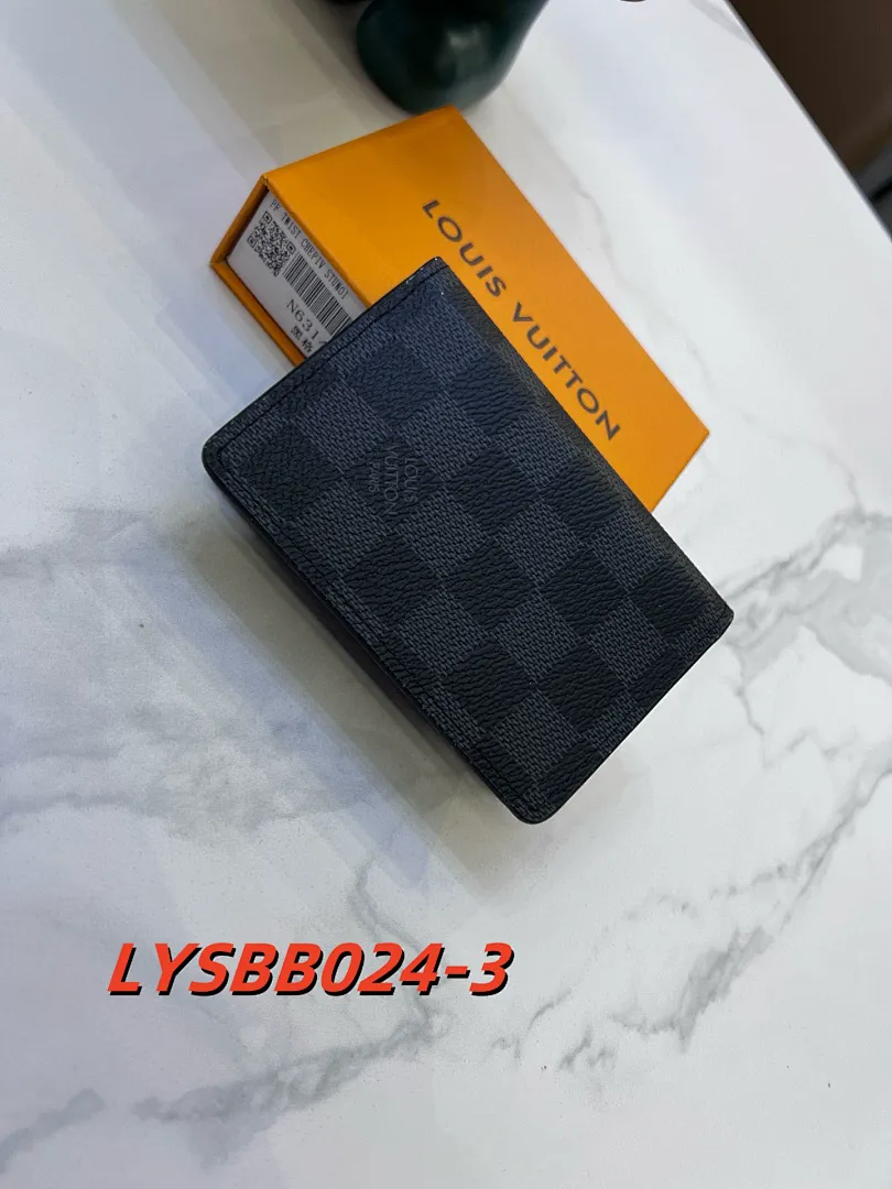 LV LYSBB024 תמונה 2