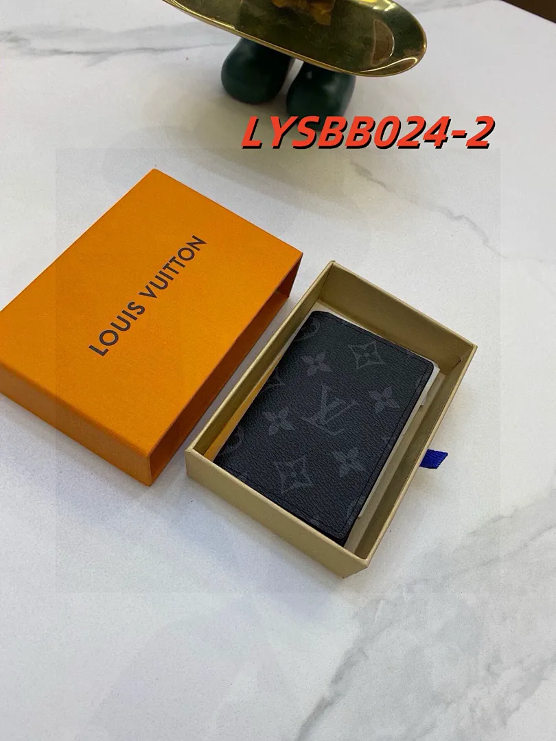 LV LYSBB024 תמונה 3