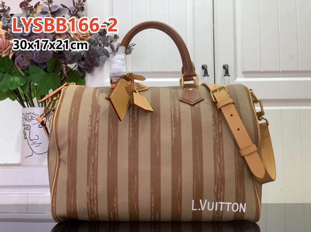 LV LYSBB166 תמונה 10
