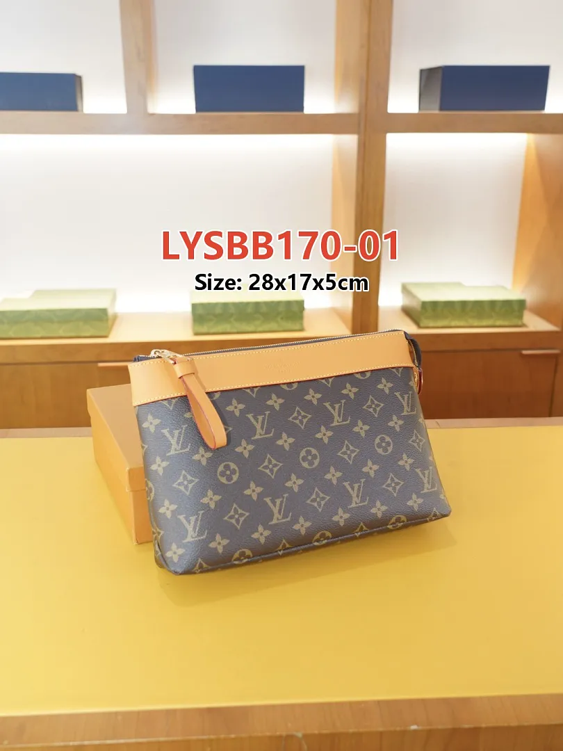 LV LYSBB170 תמונה 10