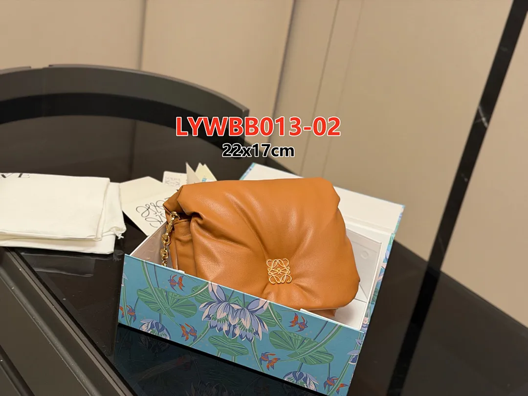 Loewe LYWBB013 תמונה 11
