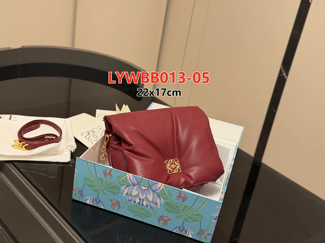 Loewe LYWBB013 תמונה 14