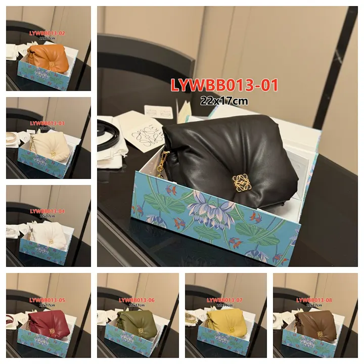 Loewe LYWBB013