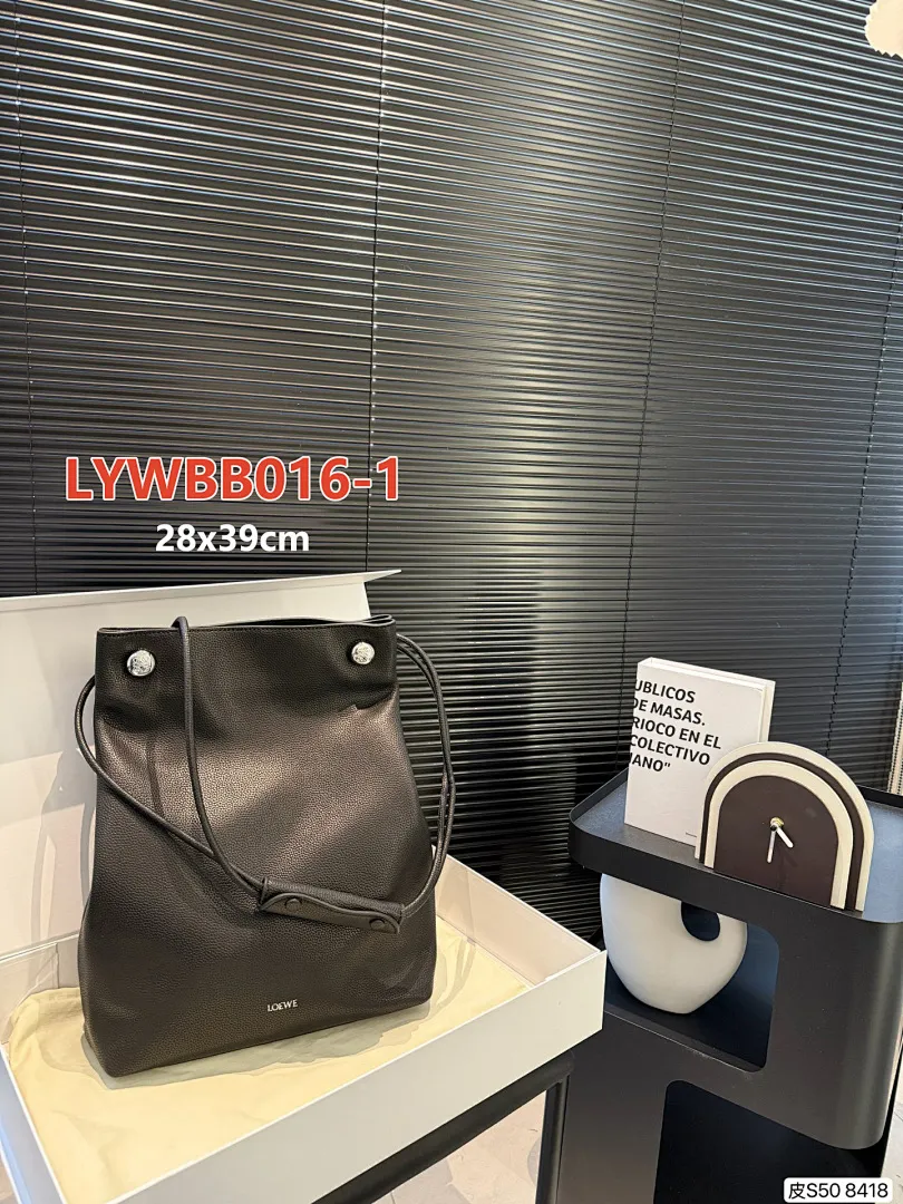 Loewe LYWBB016 תמונה 11