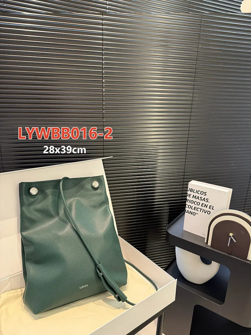 Loewe LYWBB016 תמונה 12