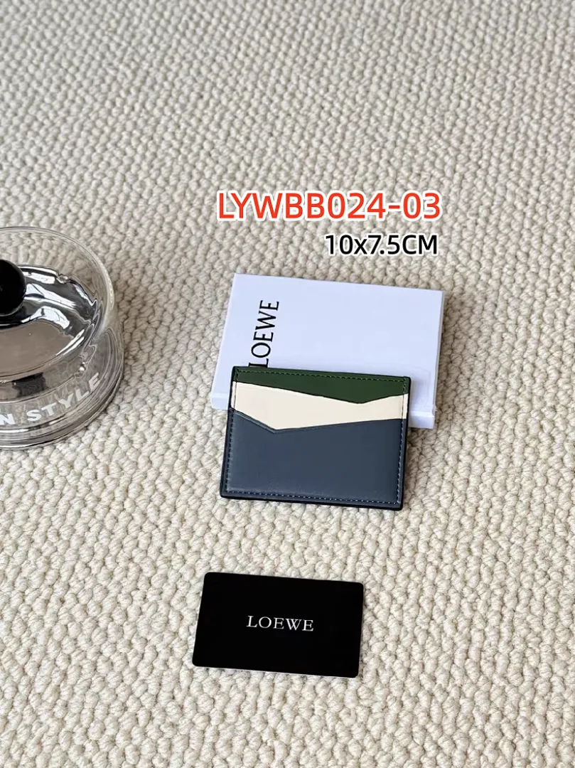 Loewe LYWBB024 תמונה 11