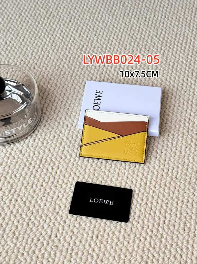Loewe LYWBB024 תמונה 13