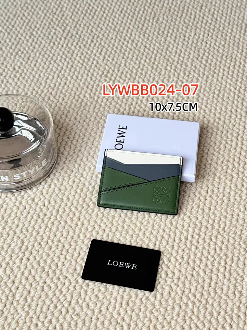 Loewe LYWBB024 תמונה 15